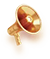 最新公告